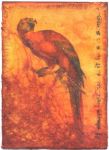 FabricTransfer2.jpg