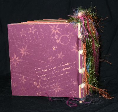 BleachBookBack.jpg
