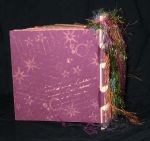 BleachBookBack.jpg